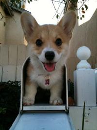 Cute Animals