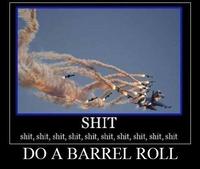 Do A Barrel Roll