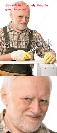 Hide The Pain Harold