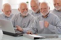 Hide The Pain Harold