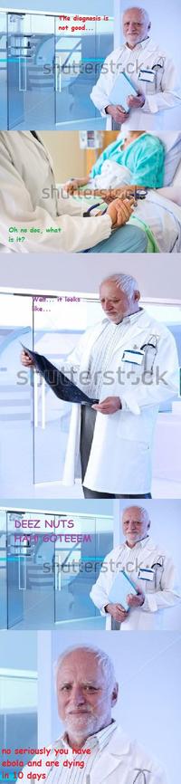 Hide The Pain Harold