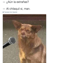 chilaquil know your meme 95d chilaquil know your meme