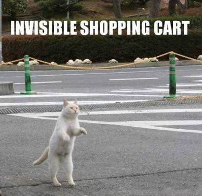 invisible_shopping_cart_410.jpg