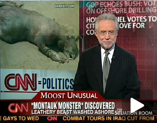 Montauk Monster