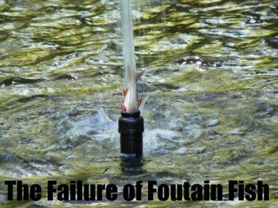 fountainfish.jpg