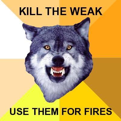WOLFY.jpg.jpg