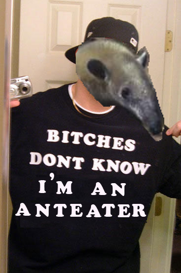 anteater.png