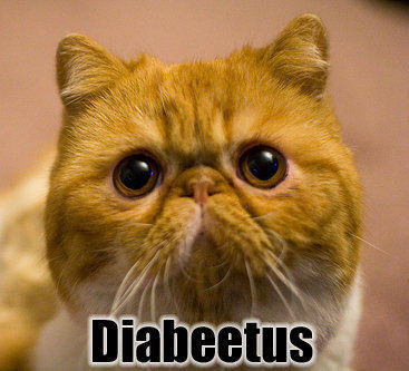 diabeetus.jpg