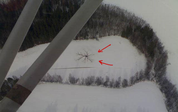 snowprintfsm.jpg