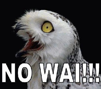 O RLY?