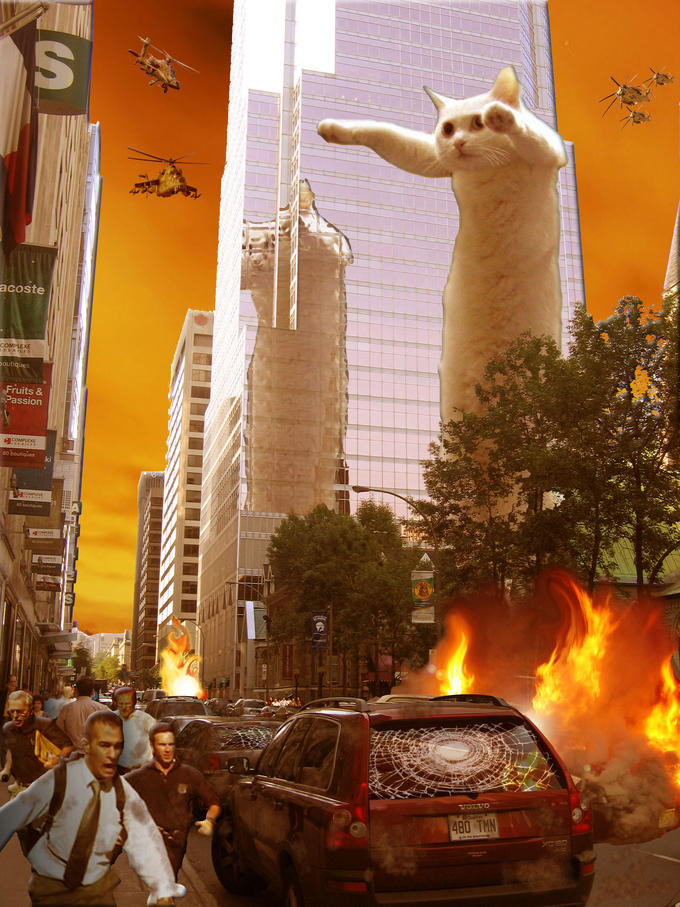 longcat-rampage.jpg