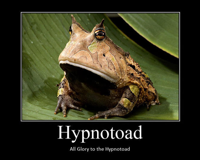 hypnotoad.jpg
