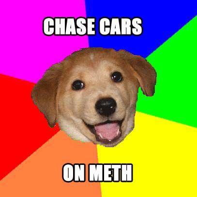 methdog.jpg
