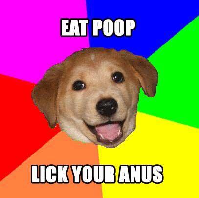 Advice Dog
