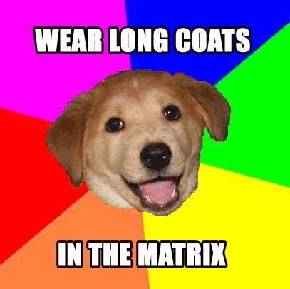 matrixdog.jpg