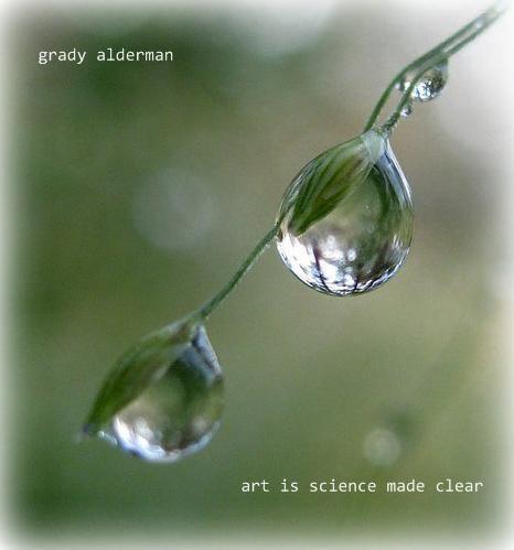 artissciencemadeclear.jpg