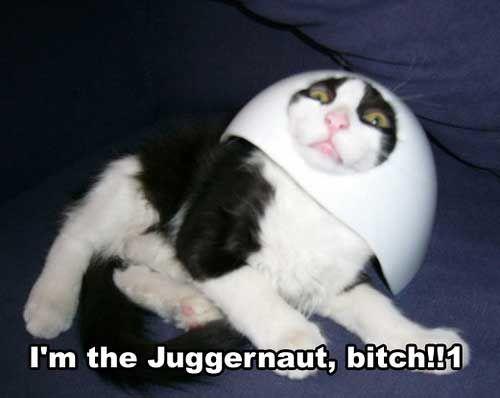 I_m_the_Juggernaut_bitch_.jpg