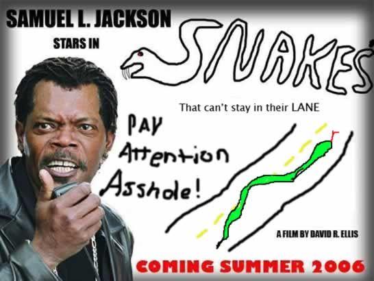 Snakes on a Plane