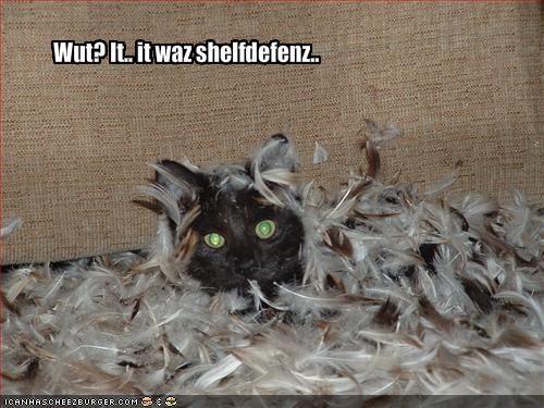 it_waz_shelfdefenz.jpg