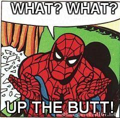 What What (in the Butt)
