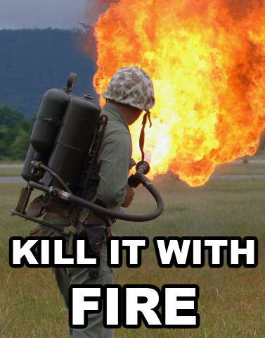 Kill It With Fire