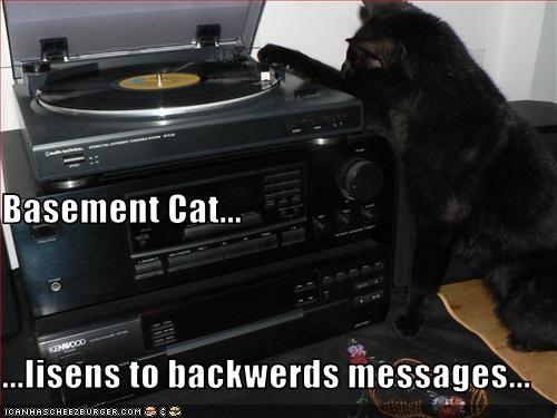 funny-pictures-basement-cat-listens-to-backwards-messages.jpg