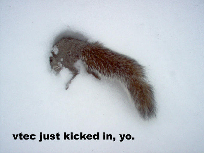 VTEC just kicked in, yo!