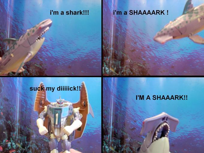 The Singing Shark