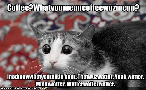 LOLcats