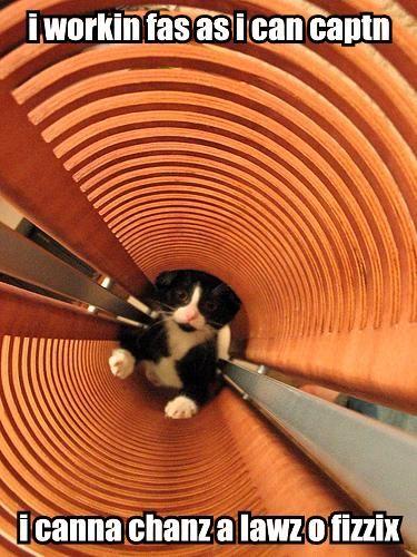 LOLcats