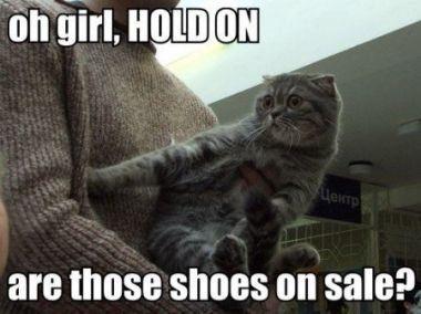 LOLcats