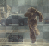170246463_0fff3ee9.gif