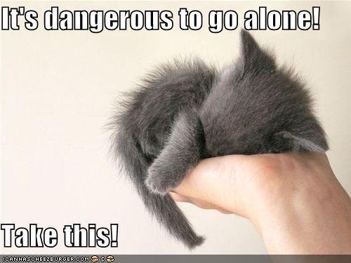 It's Dangerous to Go Alone! Take This