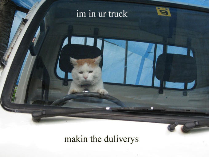 seehere.blogspot.com_20cats_20_22_.jpg