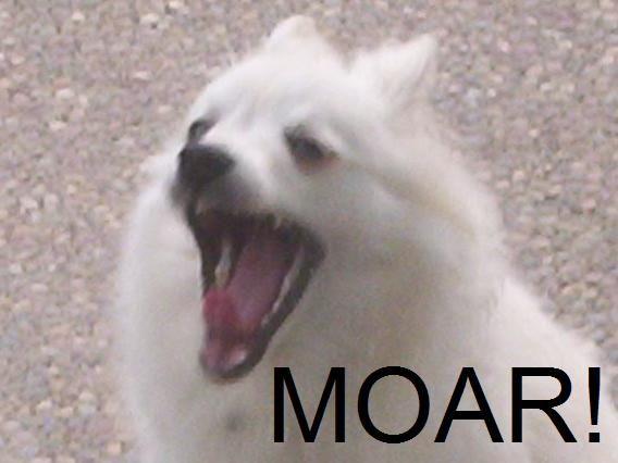MOAR