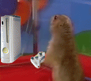 YQAAVCYWK2L5KNILWE2TNNIQ2AEASE7V.gif