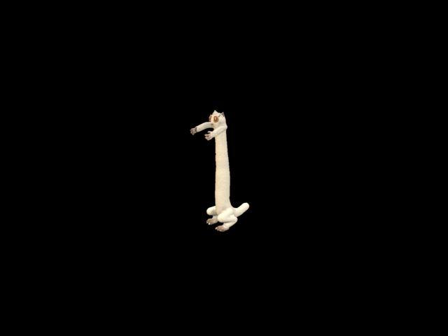 Longcat