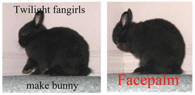 fuzzy_facepalm_by_bekkia.jpg