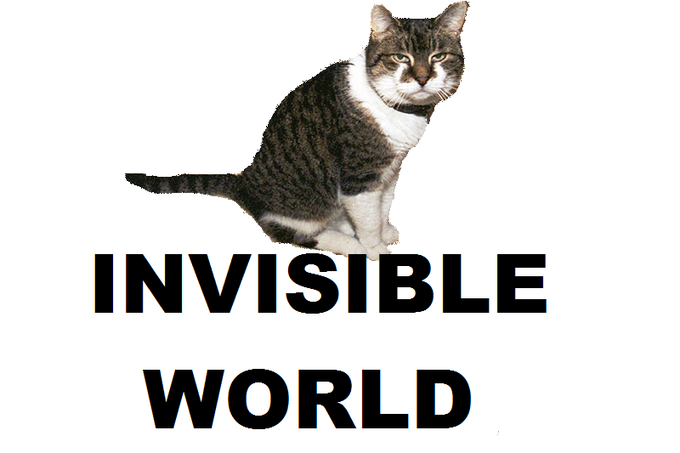 INVISIBLE_WORLD.png