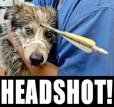 Boom Headshot!