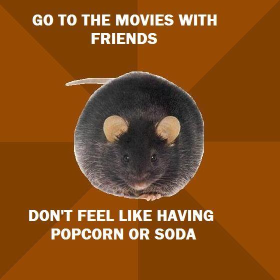 Poverty Rat