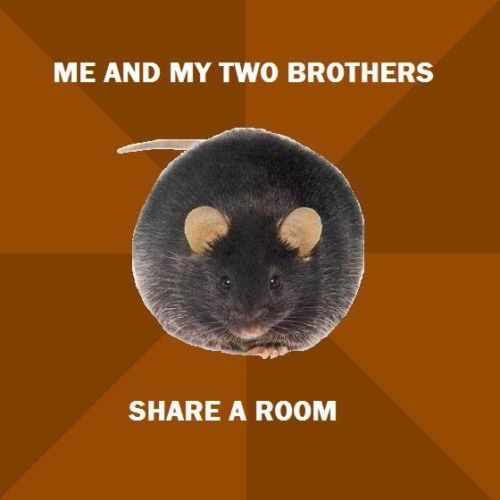 Poverty Rat
