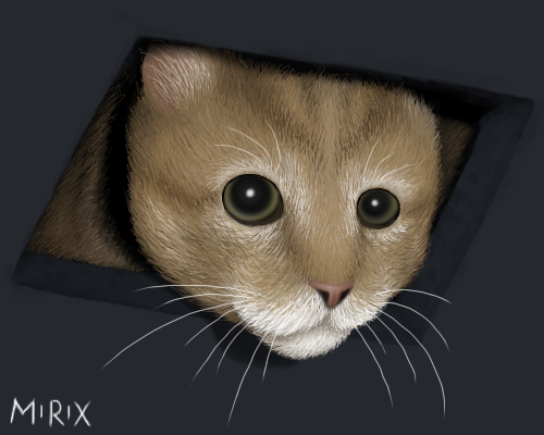 Ceiling_cat_by_Mirix.png