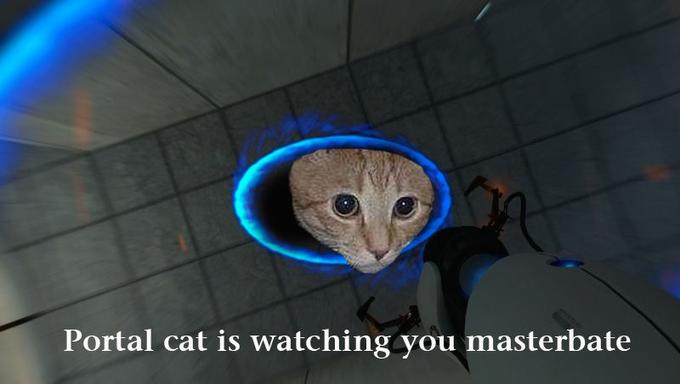 Portal_cat_by_Tomdowse.jpg