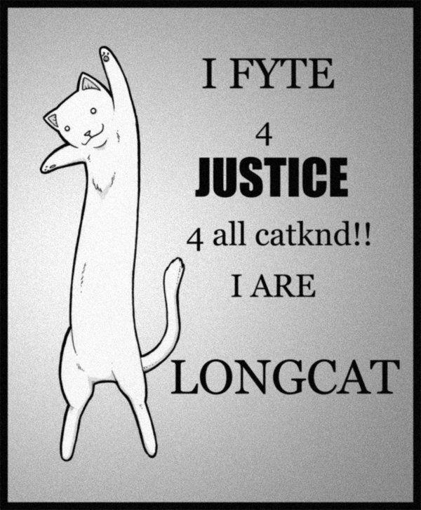 LONGCAT_by_ReivanRyles.jpg