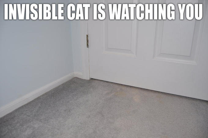Invisible X