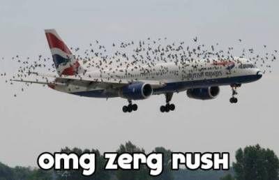 zerg_rush.jpg