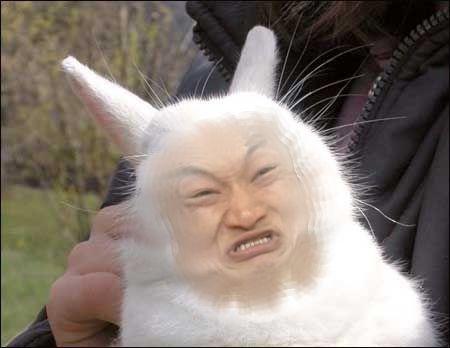 Bunnyfaic