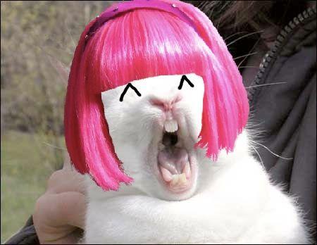 Bunnyfaic
