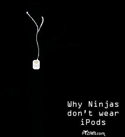 ninjaipod.jpg